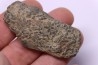 COPROLITHES de trilobites: TOMACULUM PROBLEMATICUM - Ordovicien - Maine et Loire, FRANCE