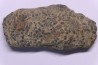 trilobit's COPROLITHES : TOMACULUM PROBLEMATICUM - Ordovician - Maine et Loire, FRANCE