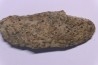COPROLITHES de trilobites: TOMACULUM PROBLEMATICUM - Ordovicien - Maine et Loire, FRANCE