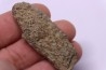COPROLITHES de trilobites: TOMACULUM PROBLEMATICUM - Ordovicien - Maine et Loire, FRANCE