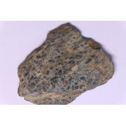 trilobit's COPROLITHES : TOMACULUM PROBLEMATICUM - Ordovician - Maine et Loire, FRANCE