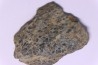 COPROLITHES de trilobites: TOMACULUM PROBLEMATICUM - Ordovicien - Maine et Loire, FRANCE