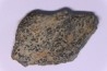 COPROLITHES de trilobites: TOMACULUM PROBLEMATICUM - Ordovicien - Maine et Loire, FRANCE