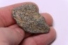 trilobit's COPROLITHES : TOMACULUM PROBLEMATICUM - Ordovician - Maine et Loire, FRANCE