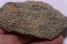 COPROLITHES de trilobites: TOMACULUM PROBLEMATICUM - Ordovicien - Maine et Loire, FRANCE