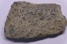 COPROLITHES de trilobites: TOMACULUM PROBLEMATICUM - Ordovicien - Maine et Loire, FRANCE