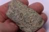 COPROLITHES de trilobites: TOMACULUM PROBLEMATICUM - Ordovicien - Maine et Loire, FRANCE