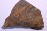 Fougère:  PECOPTERIS sp.  Stephanian (carboniferous)  Val d'Arly - SAVOIE, FRANCE