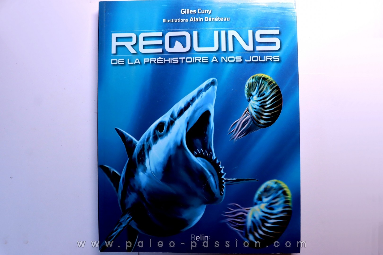 Gilles CUNY: REQUINS: De la préhistoire à nos jours - 2013