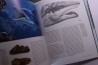 Gilles CUNY: REQUINS: De la préhistoire à nos jours - 2013