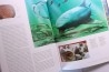 Gilles CUNY: REQUINS: De la préhistoire à nos jours - 2013