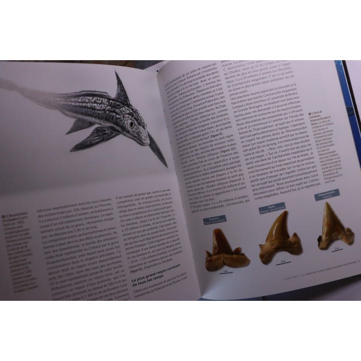 Gilles CUNY:   REQUINS: De la préhistoire à nos jours  223 pages  2013