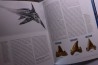 Gilles CUNY: REQUINS: De la préhistoire à nos jours - 2013