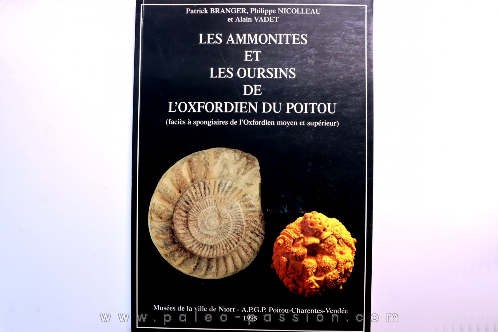Branger & alii Les ammonites et les oursins de l'Oxfordien du Poitou -1995