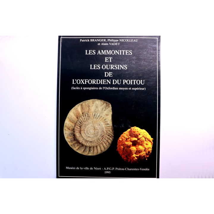 Branger & alii  Les ammonites et les oursins de l'Oxfordien du Poitou -1995