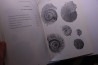 Branger & alii Les ammonites et les oursins de l'Oxfordien du Poitou -1995
