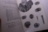 Branger & alii Les ammonites et les oursins de l'Oxfordien du Poitou -1995