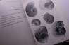 Branger & alii Les ammonites et les oursins de l'Oxfordien du Poitou -1995
