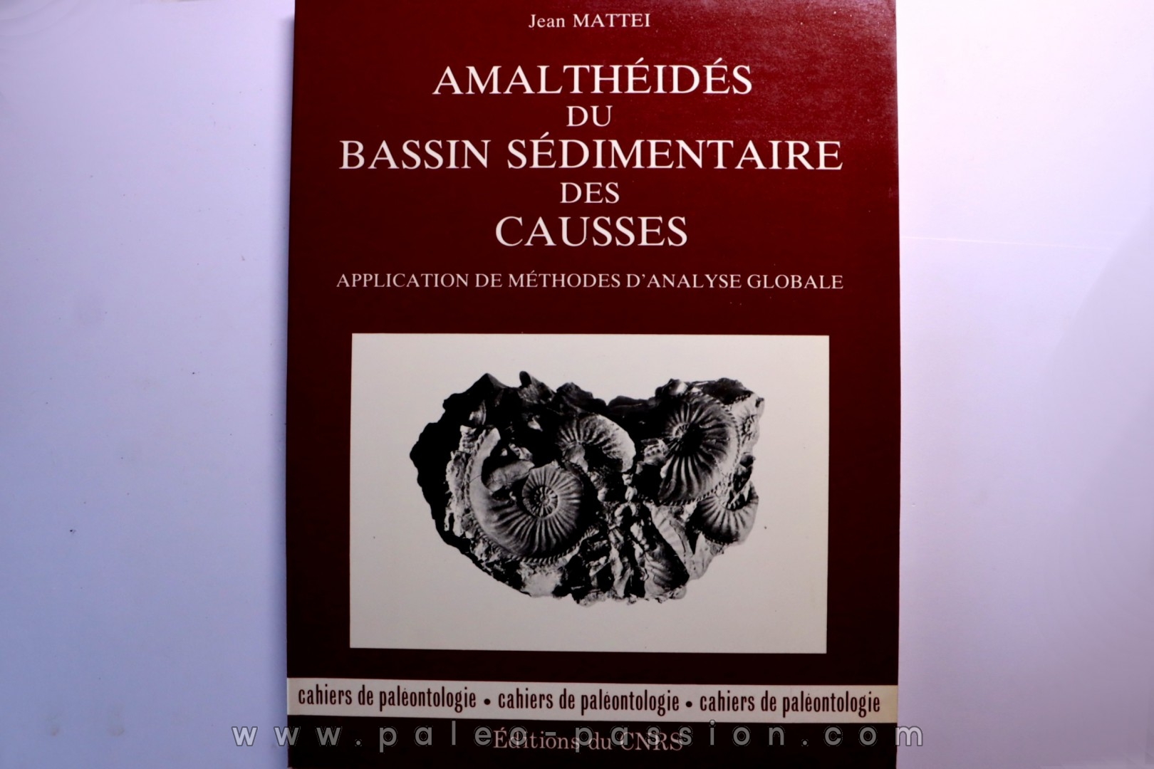 Jean MATTEI : Amalthéidés du bassin sédimentaire des Causses - 1989