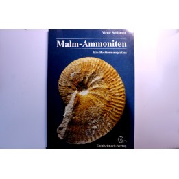Victor schlampp  malm ammoniten  - 1991