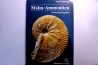 Victor schlampp  malm ammoniten  - 1991
