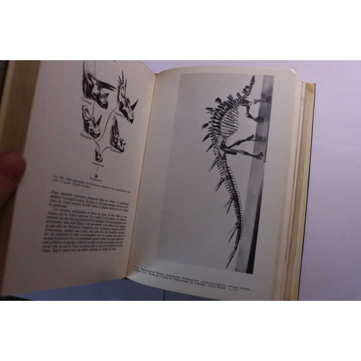 Gerard de Beaumont : guide des vertébrés fossiles  - 1973