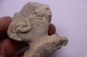 EPONGE: JEREA EXCAVATA Senonien Paulmy, 37 - FRANCE