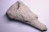 EPONGE: JEREICA MULTIFORMIS Senonien Paulmy, 37 - FRANCE