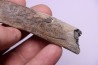 Côte de baleine avec traces de prédations de megalodon
