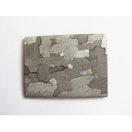 METEORITE  Campo del Cielo (21) 