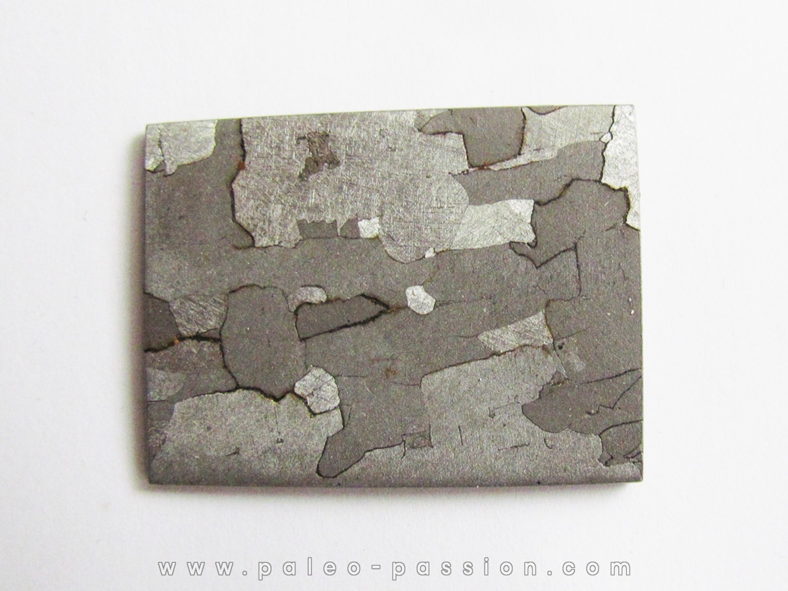 METEORITE Campo del Cielo (21)