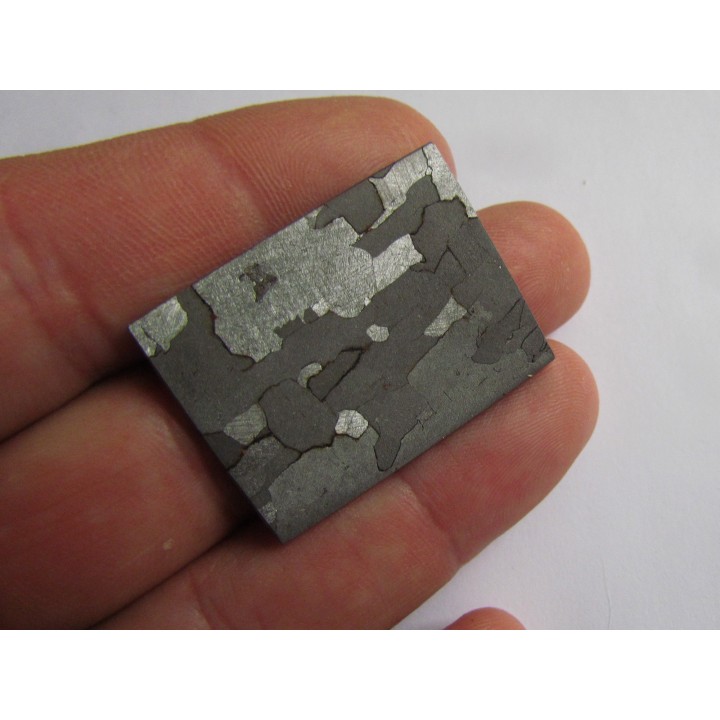 METEORITE  Campo del Cielo (21) 