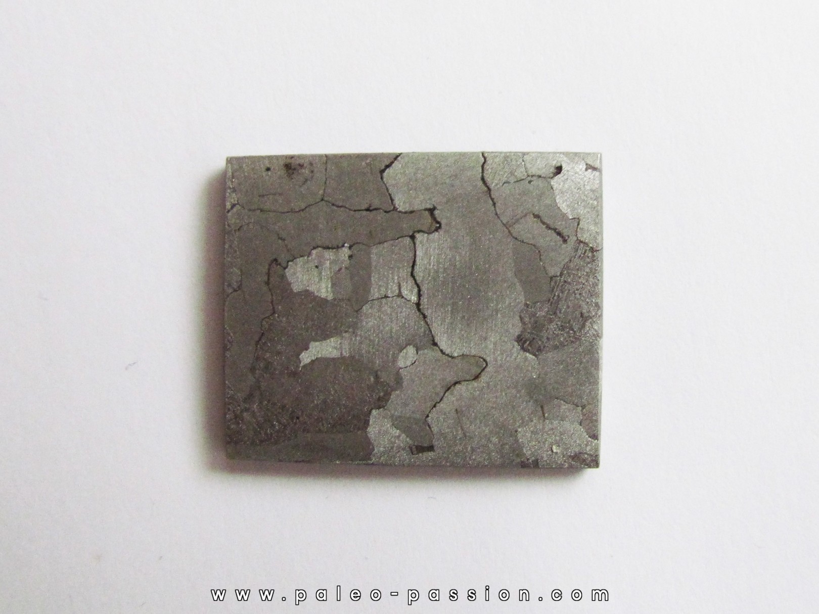 METEORITE Campo del Cielo (22)