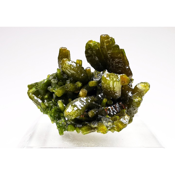 Pyromorphite - Chaillac (36) - FRANCE