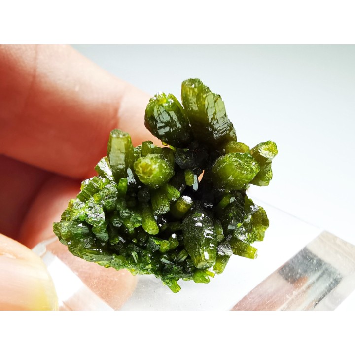 Pyromorphite - Chaillac (36) - FRANCE