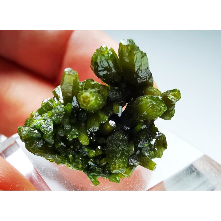 Pyromorphite - Chaillac (36) - FRANCE