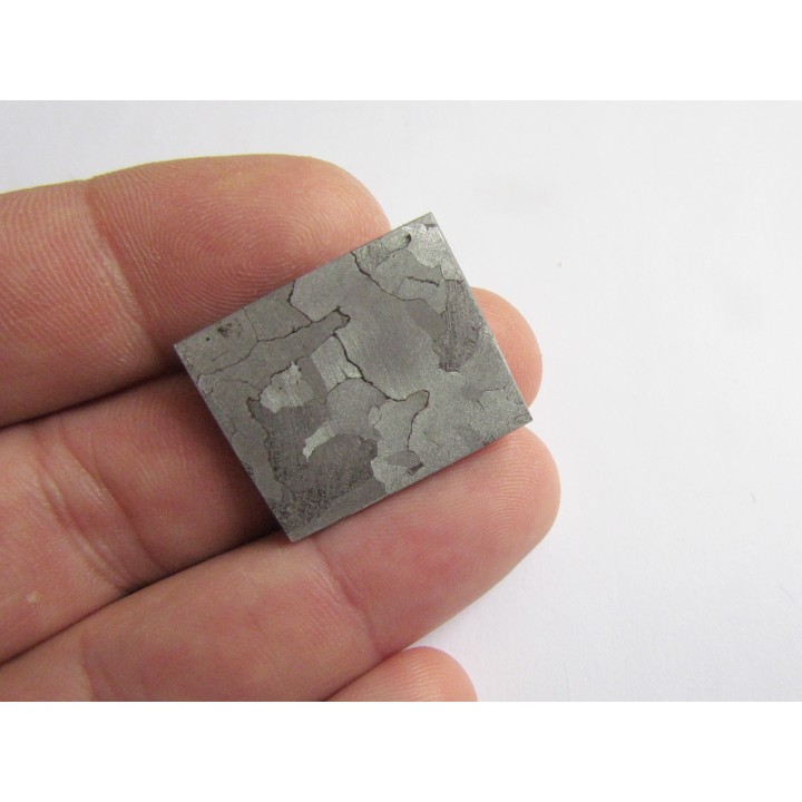 METEORITE  Campo del Cielo (22) 