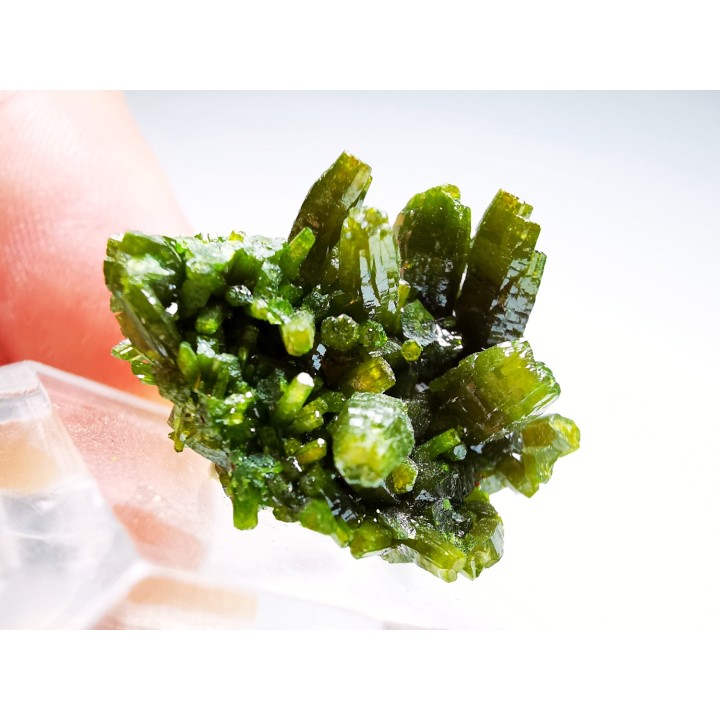 Pyromorphite - Chaillac (36) - FRANCE