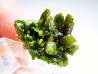 Pyromorphite - Chaillac (36) - FRANCE