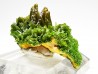Pyromorphite - Chaillac (36) - FRANCE