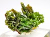 Pyromorphite - Chaillac (36) - FRANCE