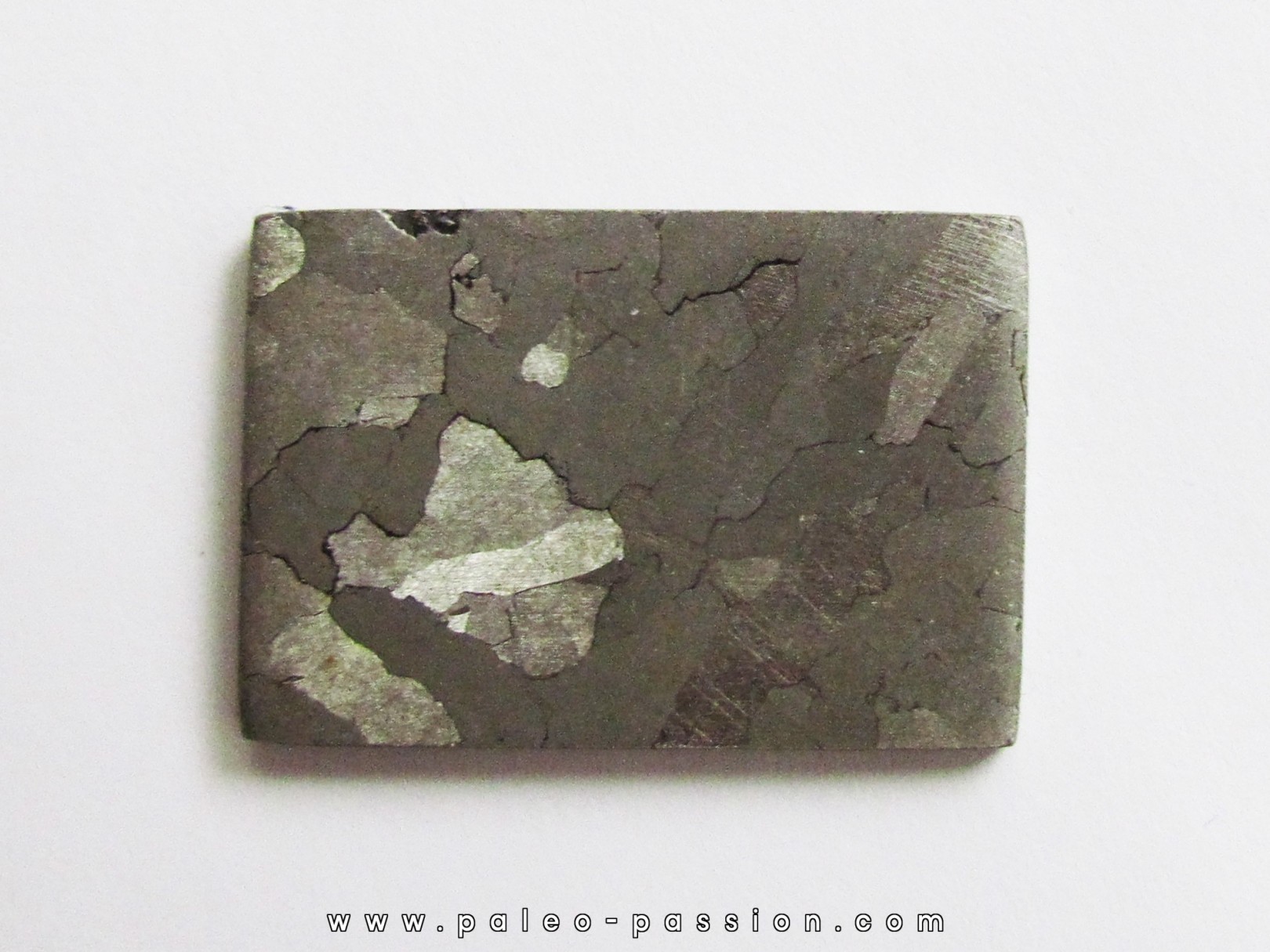 METEORITE Campo del Cielo (23)