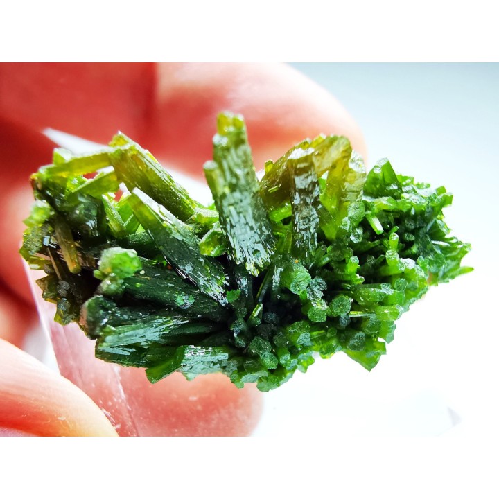 Pyromorphite - Chaillac (36) - FRANCE
