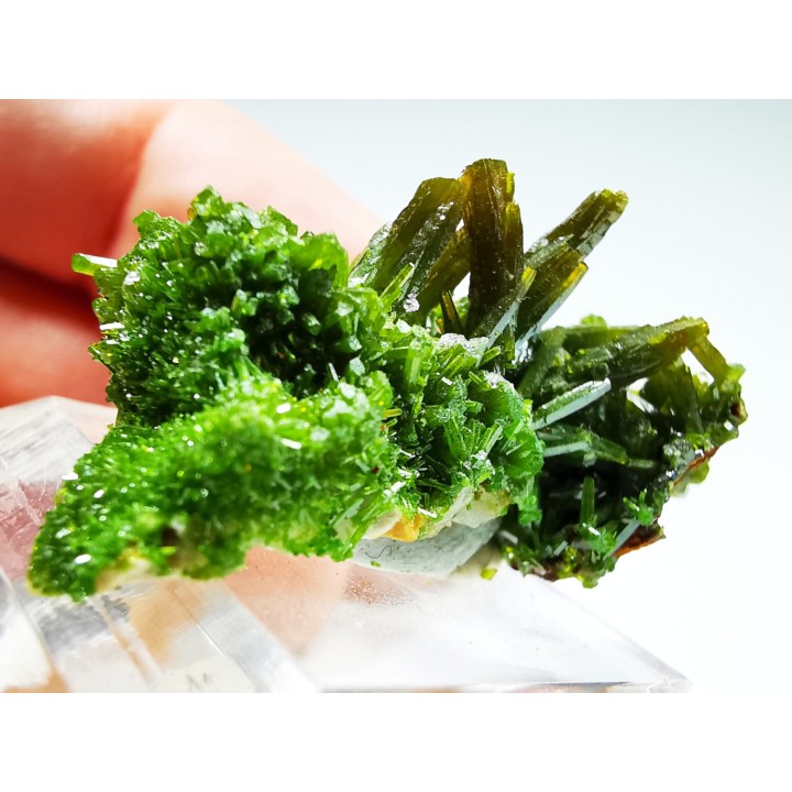 Pyromorphite - Chaillac (36) - FRANCE