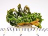 Pyromorphite - Chaillac (36) - FRANCE