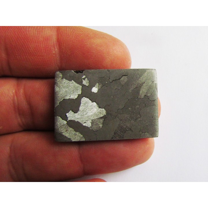 METEORITE  Campo del Cielo (23) 