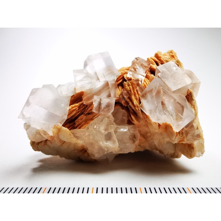 fluorite incolore et baryte de Berbes, Espagne