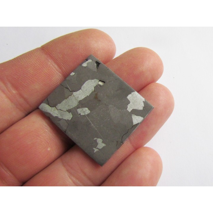 METEORITE  Campo del Cielo (25) 