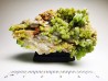 Pyromorphite - mine Daoping, guangxi province, CHINA