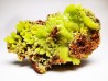 Pyromorphite - mine Daoping, guangxi province, CHINA
